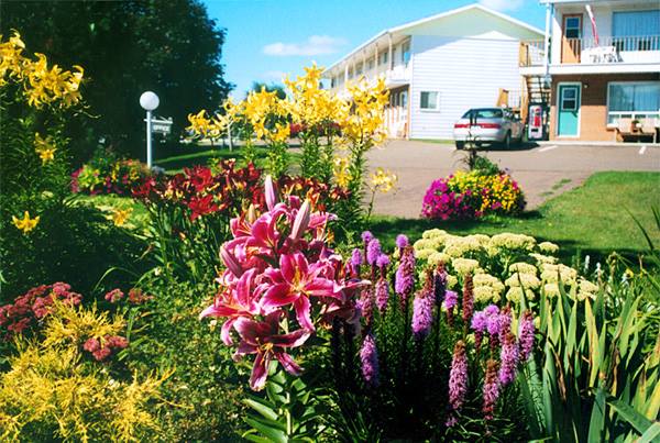Fair Isle Motel